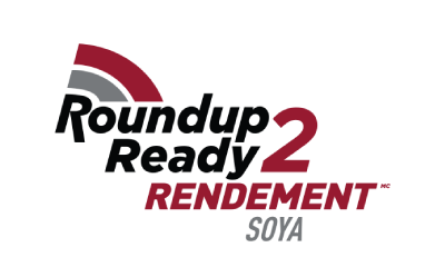 Roundup Ready 2 Yield Soya