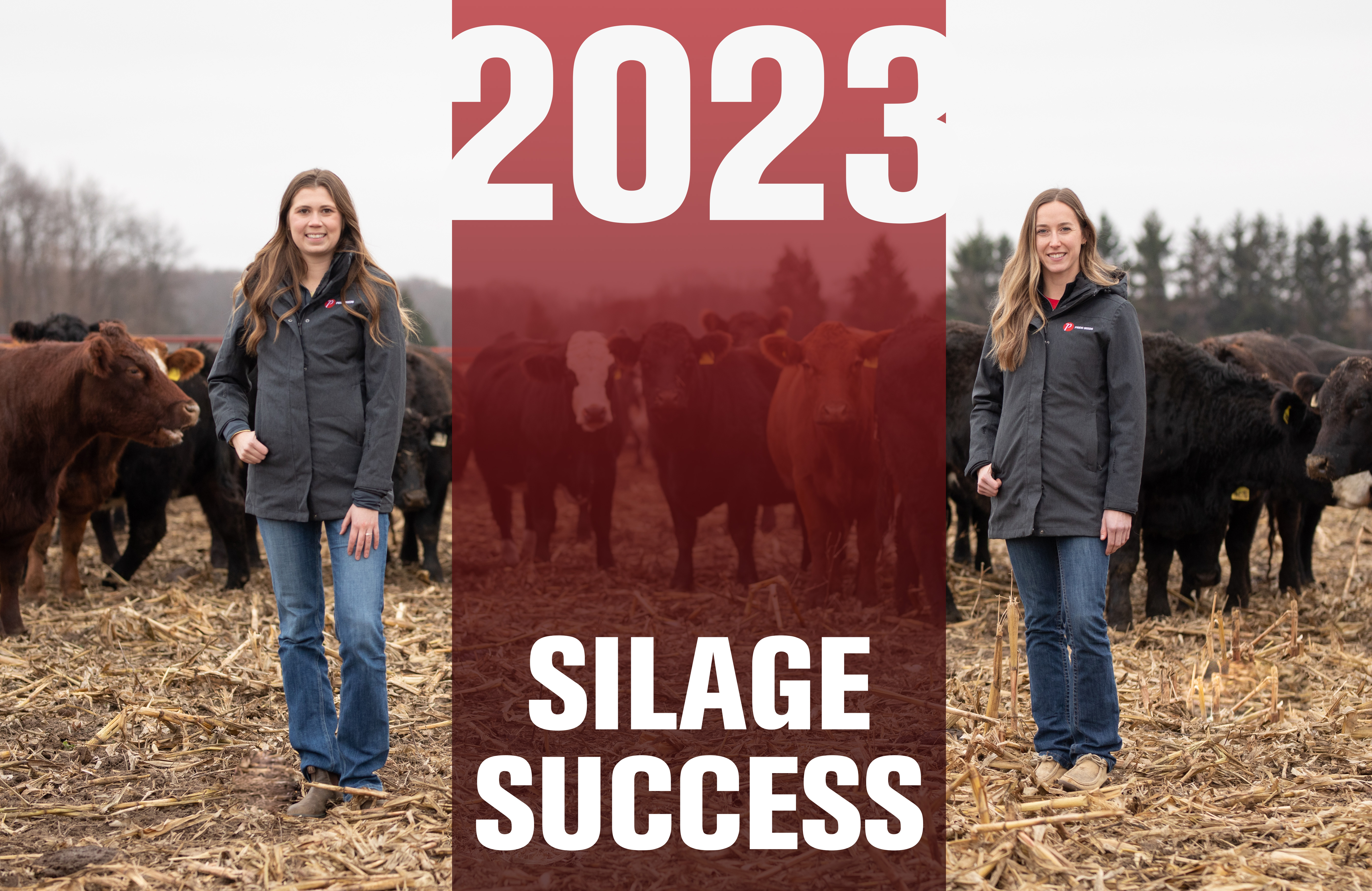 2023 Silage Success