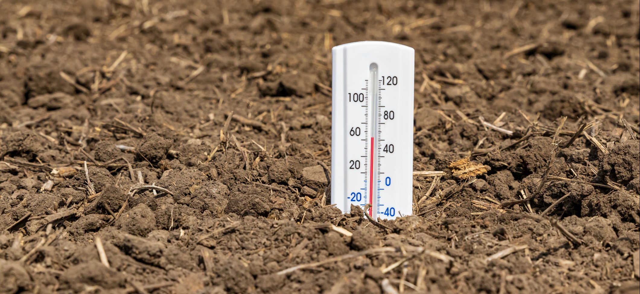 Soil temperature Thermometer is soil of farm field