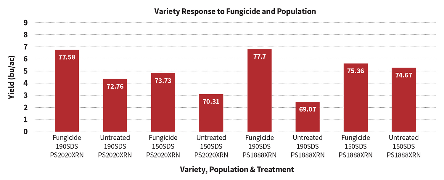 Variety Response to Fungicide and Population: Results Graph